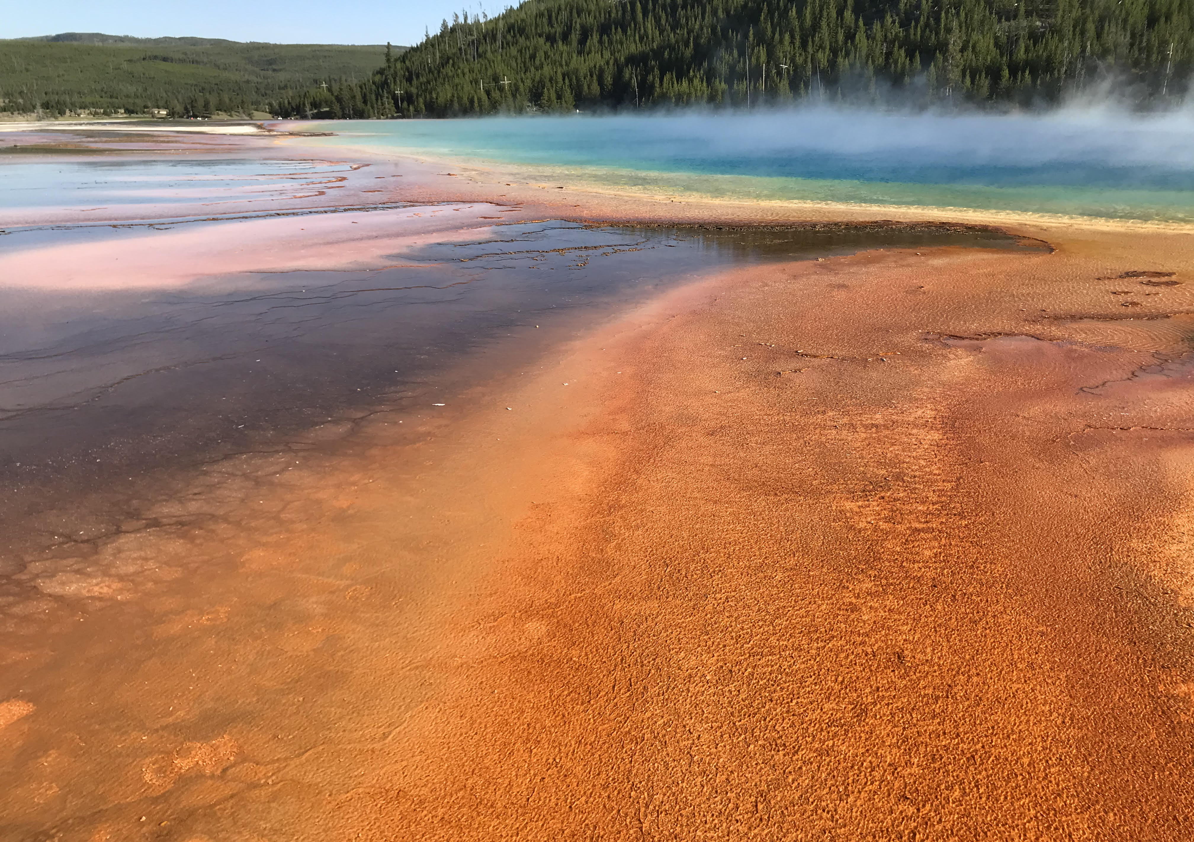 Grand Prismatic Spring