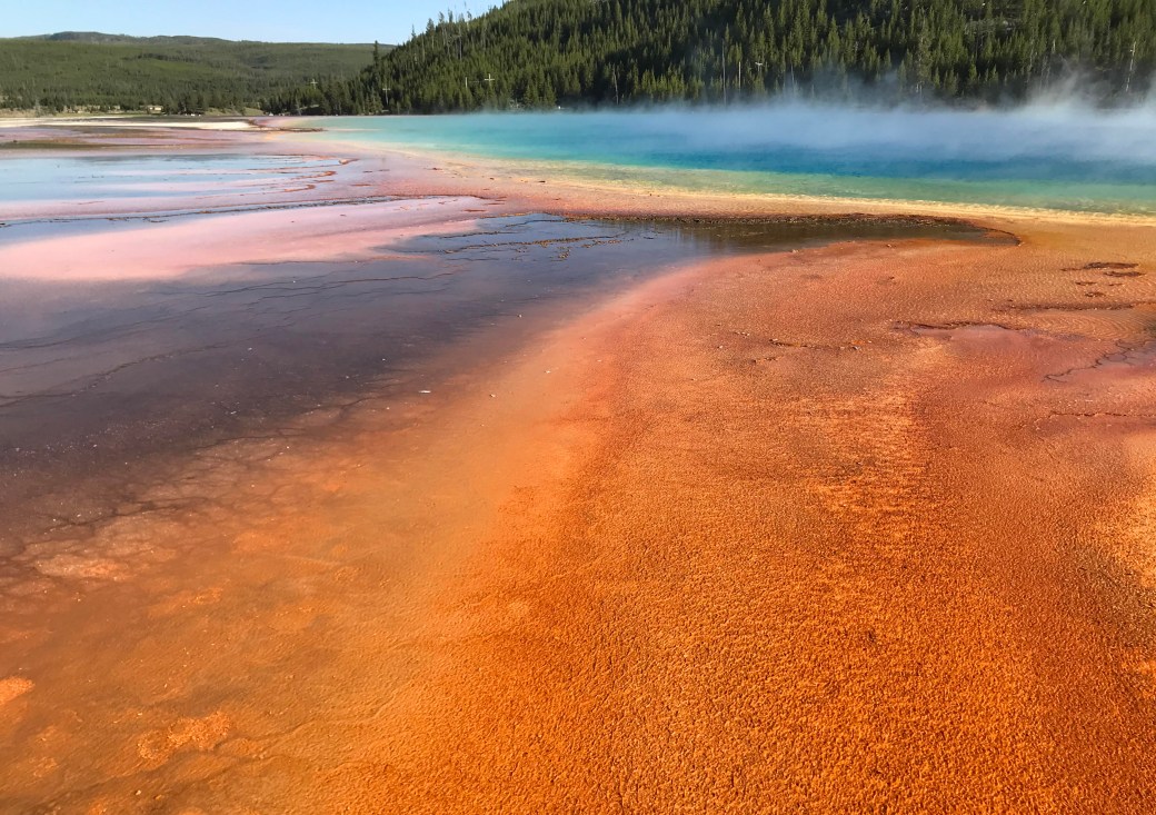 Grand Prismatic Spring